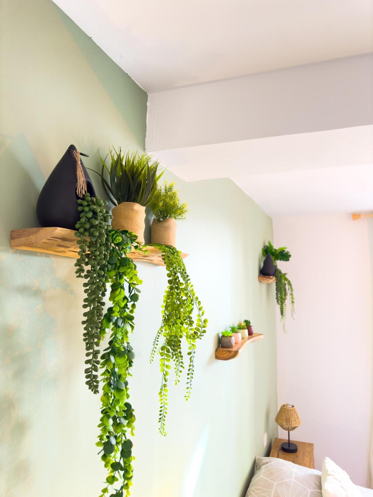 Apartmán Le Patio ※ Carnot Carcassonne Exteriér fotografie
